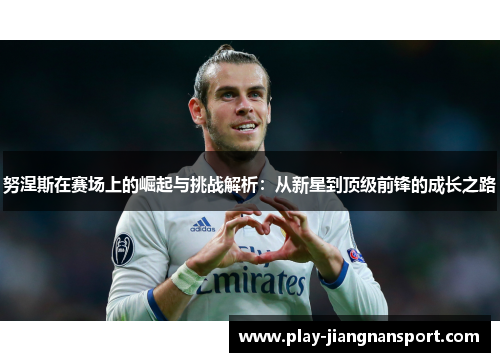 努涅斯在赛场上的崛起与挑战解析：从新星到顶级前锋的成长之路