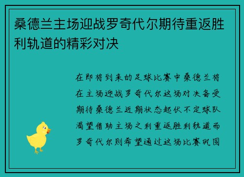桑德兰主场迎战罗奇代尔期待重返胜利轨道的精彩对决